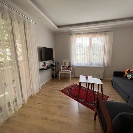 Delight Kartal