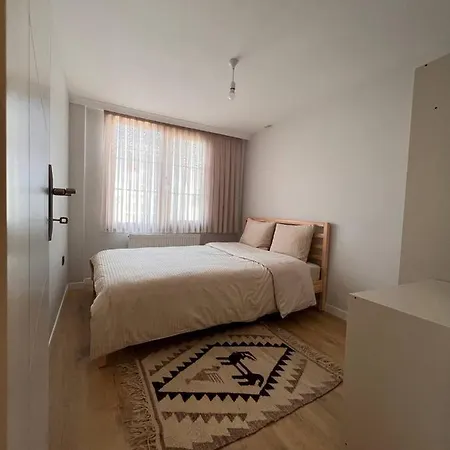 Delight Kartal * Istanbul